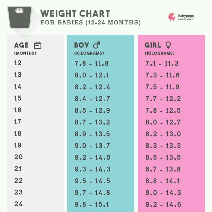what should be the weight of 1 year 2 months baby height of a 2 year old chart