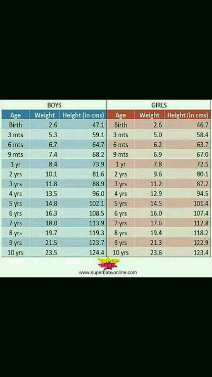 6 Year Old Weight Chart