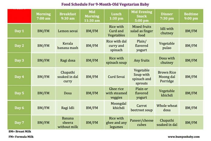 food chart for 11th month baby babygogo food chart