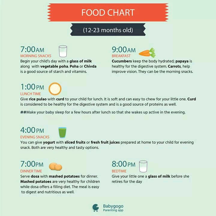 What is the food chart for 1 year old baby?