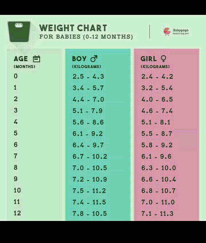 need a diet chart for my 11 month old baby also currently diet chart for baby of 8 months