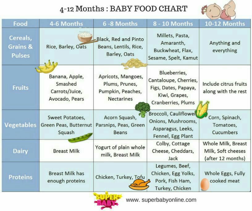 6 Months Baby Diet Schedule For Weight