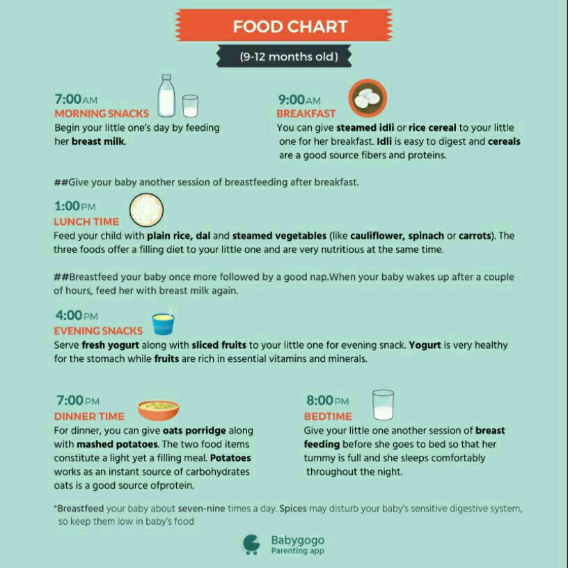 8 to 12 month baby food chart